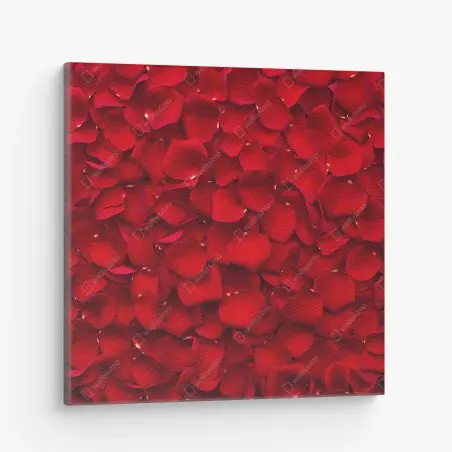 Canvas print red rose petal background • Wallissimo®