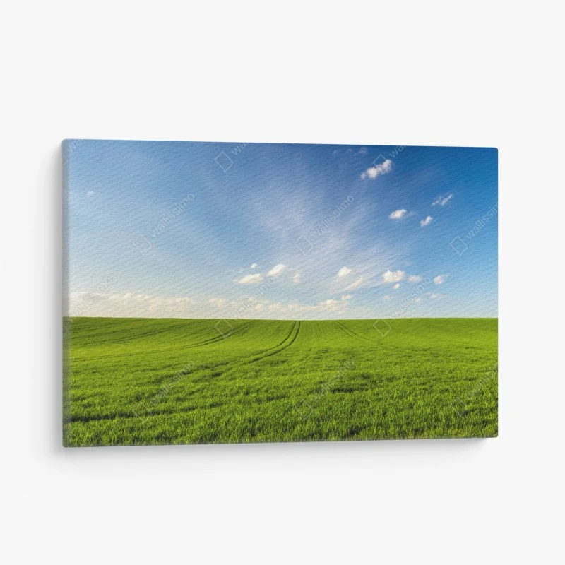 Canvas print spring green meadow panorama