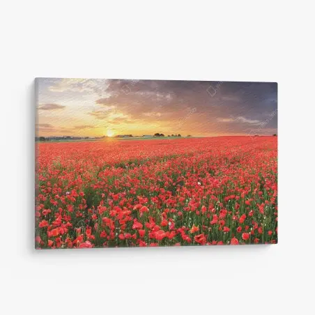 Canvas print sunset poppy field panorama • Wallissimo®