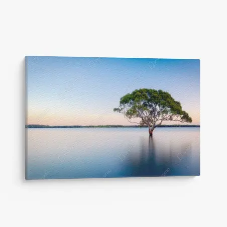 Canvas print solitary tree over a tranquil lake • Wallissimo®