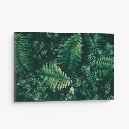 Canvas print lush tropical green leaves • Wallissimo®