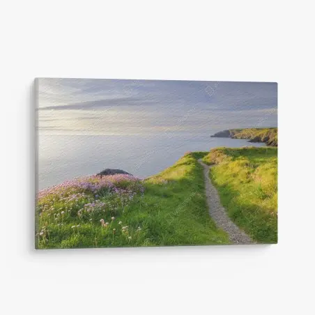 Canvas print Ceibwr Bay coastal path at dusk • Wallissimo®