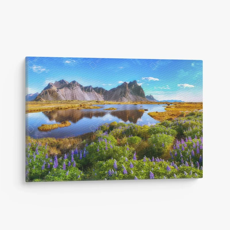 Canvas print vibrant lupine meadow at Vestrahorn, Iceland