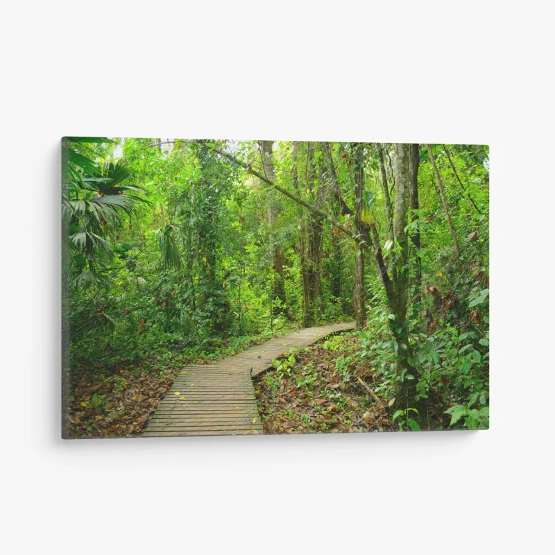Canvas print tropical boardwalk through lush forest