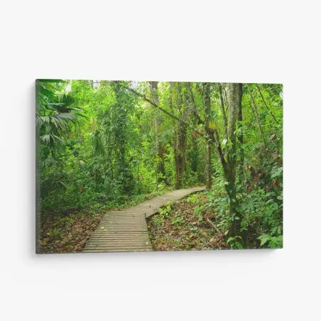 Canvas print tropical boardwalk through lush forest • Wallissimo®