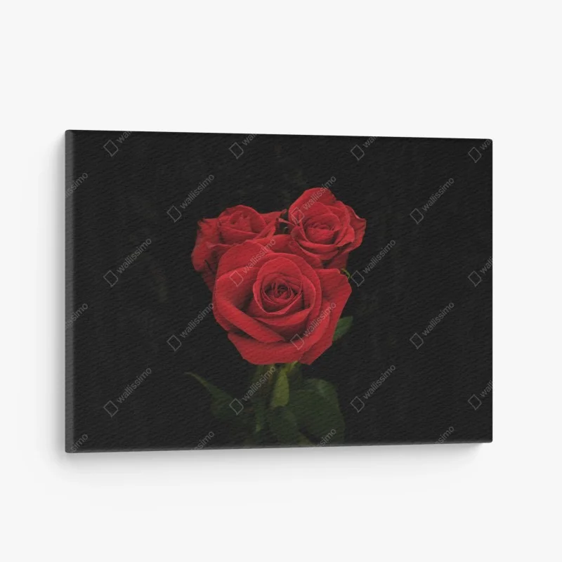 Canvas print red roses on black background