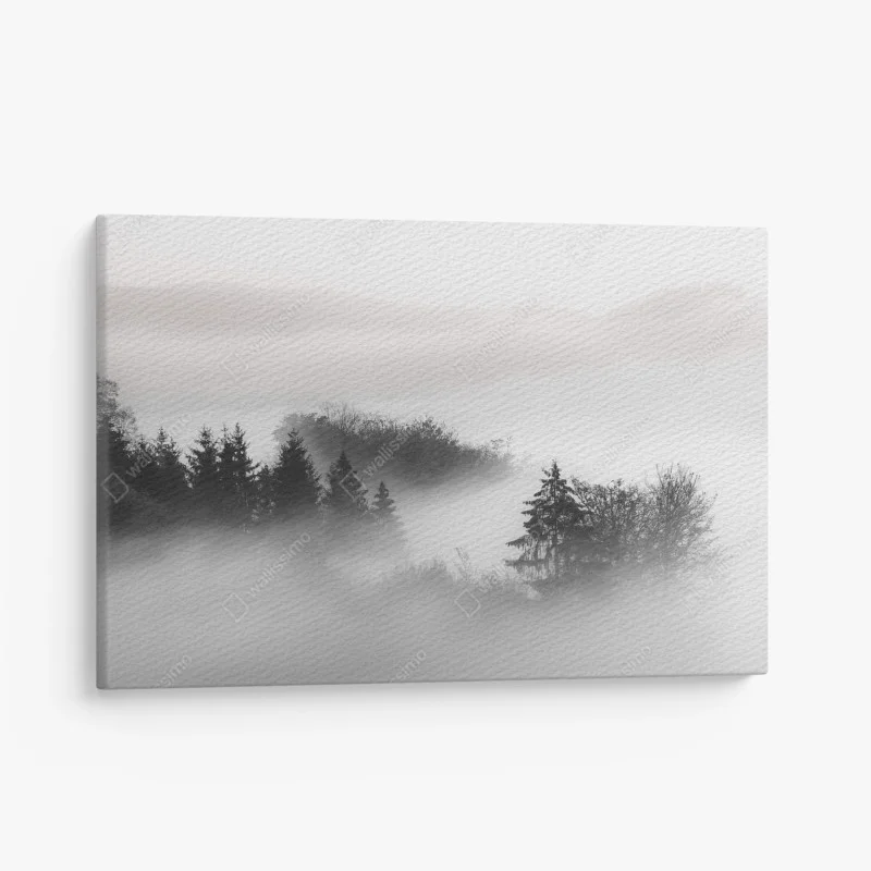Canvas print misty forest in monochrome