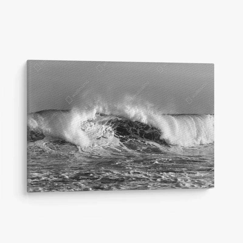 Canvas print dramatic monochrome ocean wave