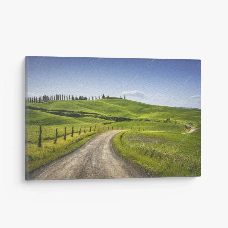 Canvas print Tuscany country road through rolling green hills