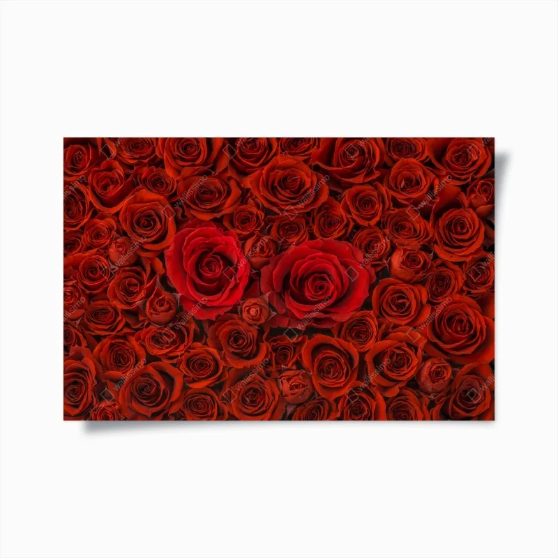 Poster lush red rose collage