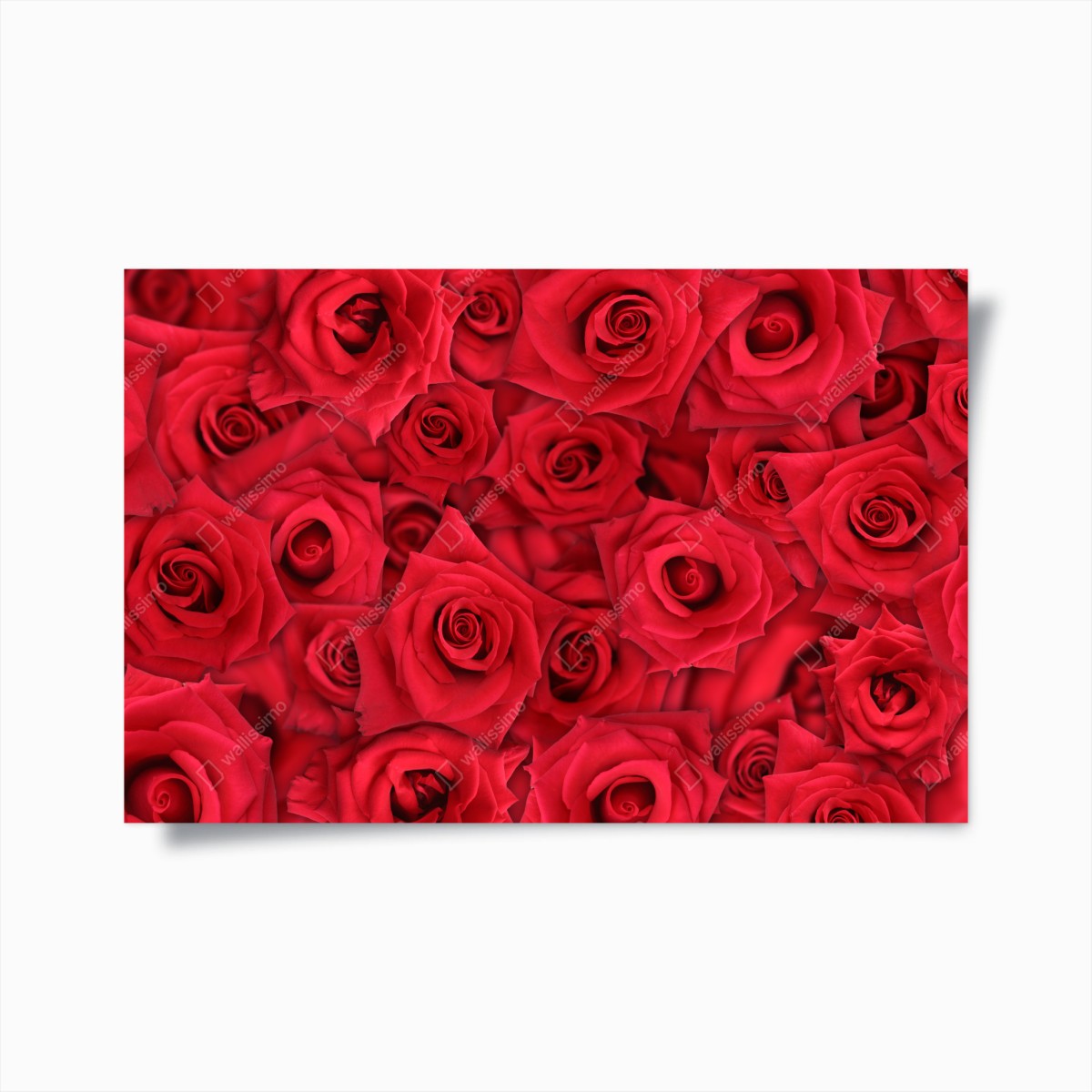 Poster vibrant red roses collage • Wallissimo® Poster vibrant red roses collage • Wallissimo®