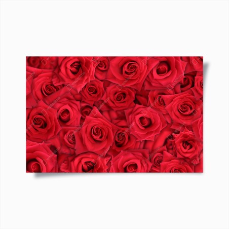 Poster vibrant red roses collage • Wallissimo®