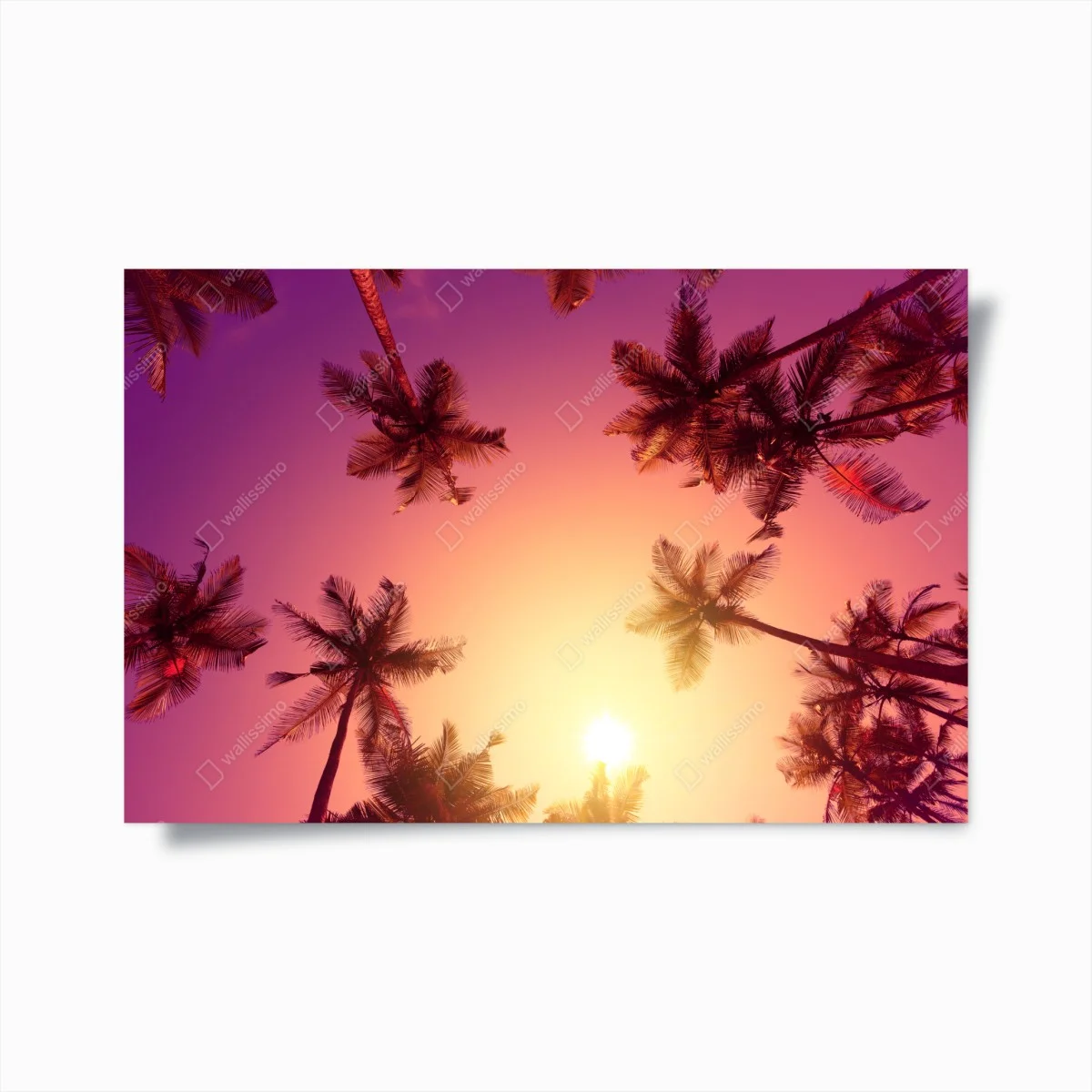Poster vivid tropical sunset with palm silhouettes ⁕ Wallissimo® Poster vivid tropical sunset with palm silhouettes ⁕ Wallissimo®