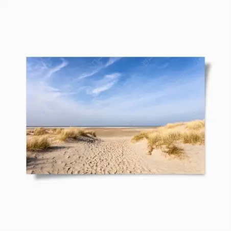 Poster serene dunes at the German coast • Wallissimo®