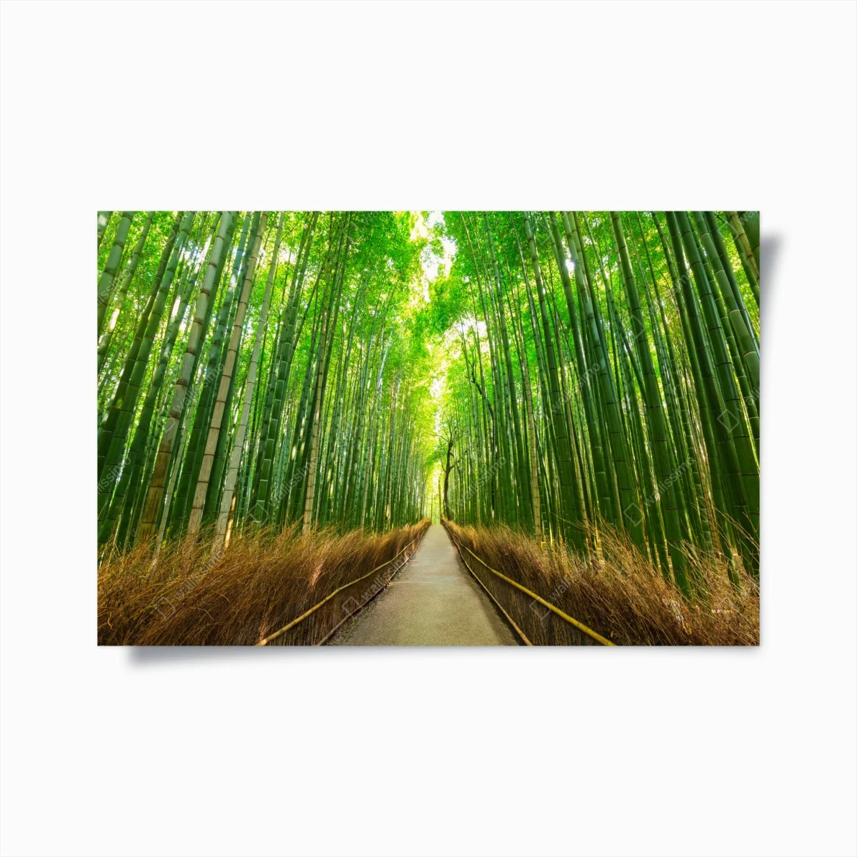 Poster tranquil bamboo path in Kyoto ⁕ Wallissimo® Poster tranquil bamboo path in Kyoto ⁕ Wallissimo®