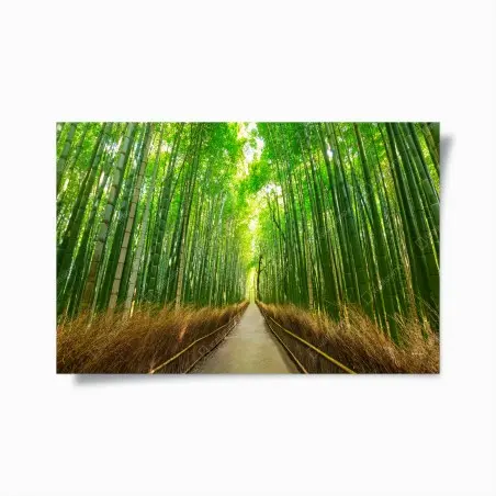 Poster tranquil bamboo path in Kyoto • Wallissimo®