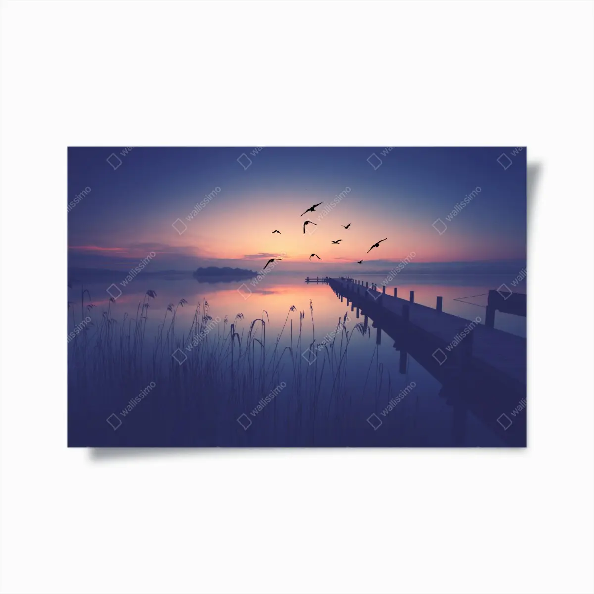 Poster serene lakeside sunrise with birds • Wallissimo®