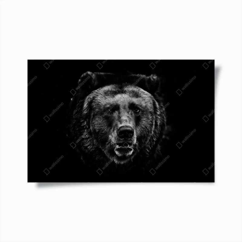 Poster moody grizzly bear portrait