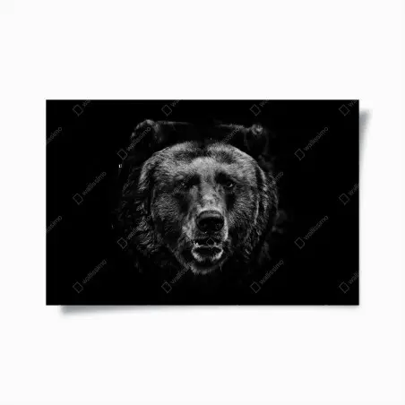 Poster moody grizzly bear portrait • Wallissimo®