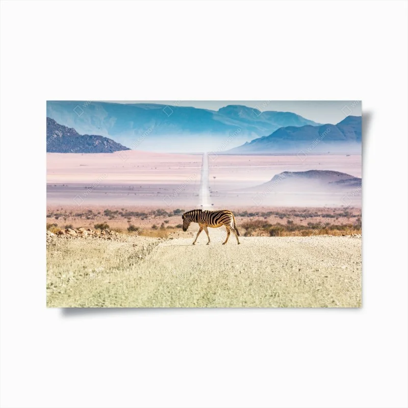 Poster zebra crossing the desert road