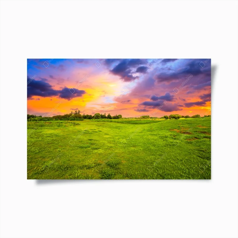 Poster sunset over green meadow