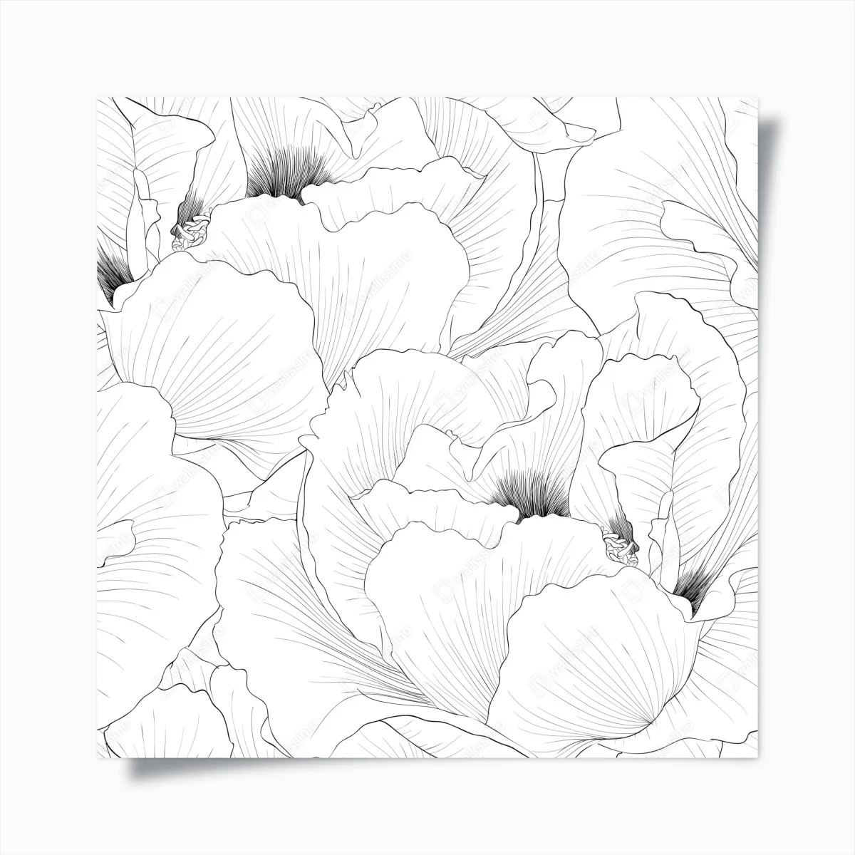 Poster delicate botanical line art floral pattern ⁕ Wallissimo® Poster delicate botanical line art floral pattern ⁕ Wallissimo®