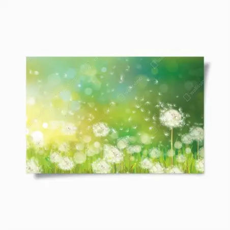 Poster spring dandelion meadow • Wallissimo®
