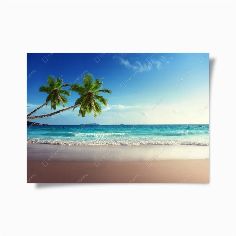 Poster tropical Caribbean beach at sunset