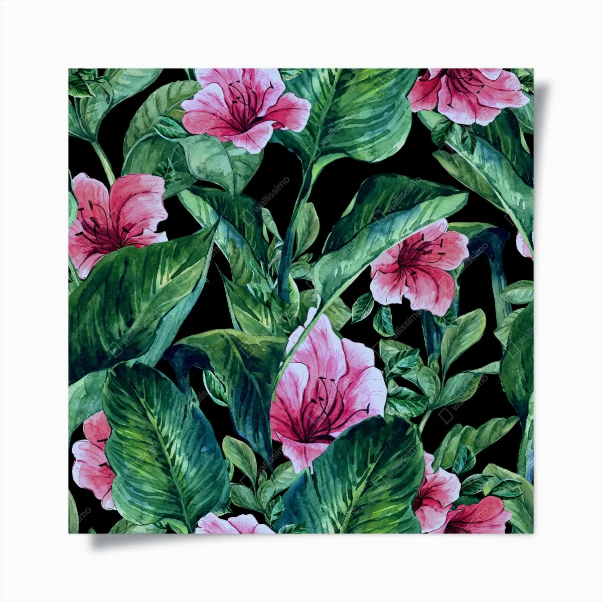 Poster pink watercolor blooms on black background • Wallissimo® Poster pink watercolor blooms on black background • Wallissimo®