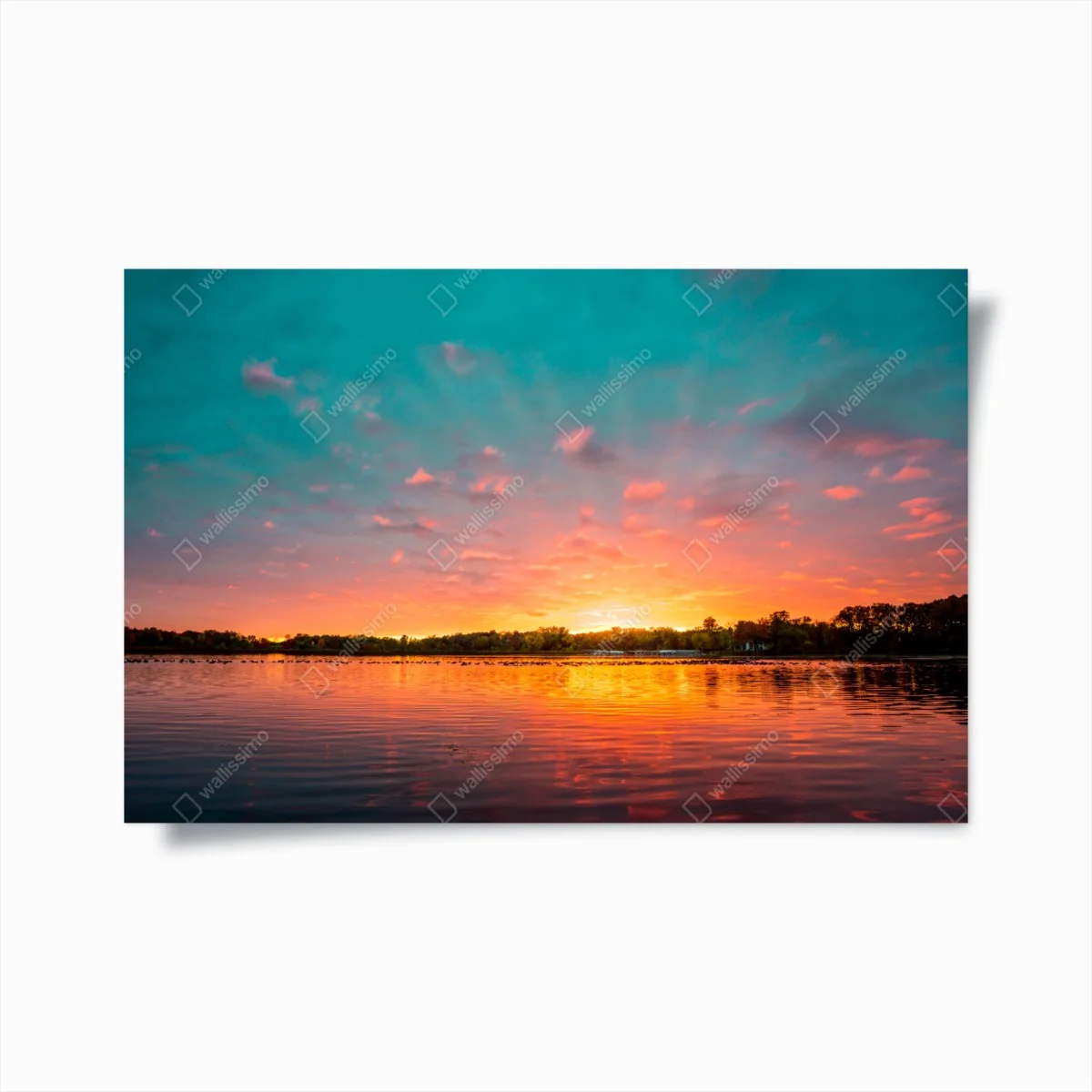 Poster turquoise sunset over tranquil lake ⁕ Wallissimo® Poster turquoise sunset over tranquil lake ⁕ Wallissimo®
