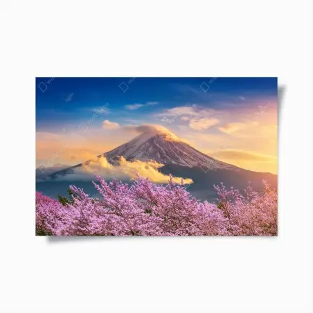 Poster Mount Fuji with cherry blossoms at sunrise • Wallissimo®