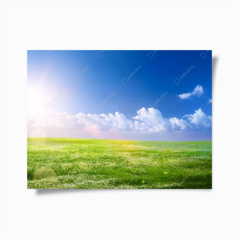 Poster sunny spring meadow with blue sky