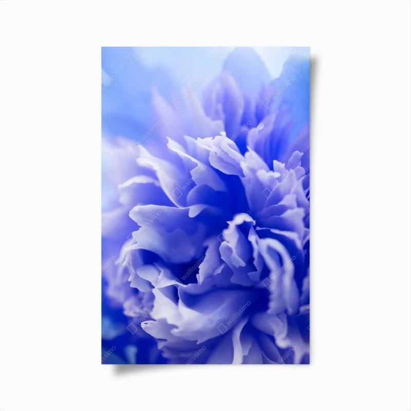 Poster soft blue abstract flower close-up