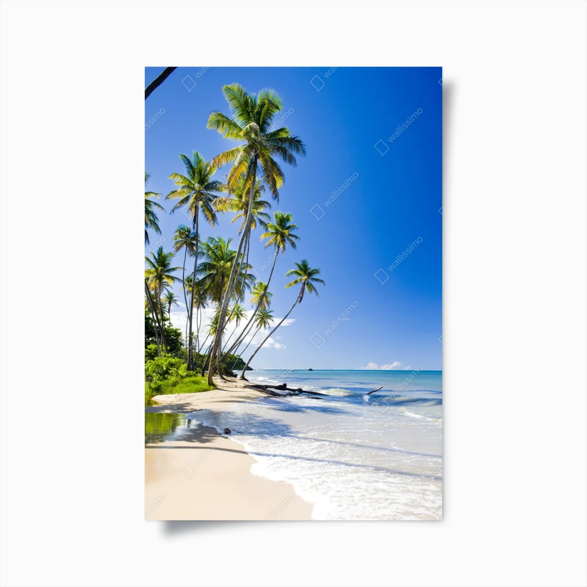 Poster tropical palm beach under blue sky • Wallissimo® Poster tropical palm beach under blue sky • Wallissimo®