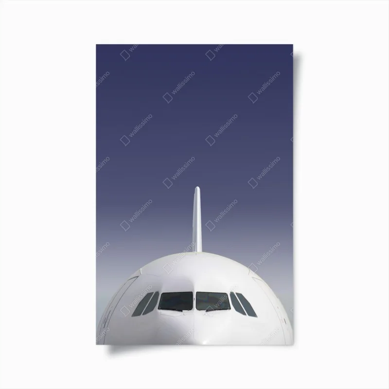 Poster front view of airplane against blue sky