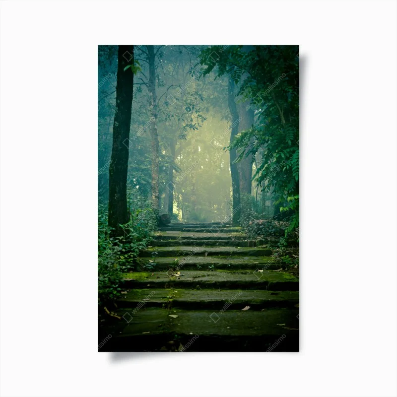 Poster moss-covered stone path into a misty forest