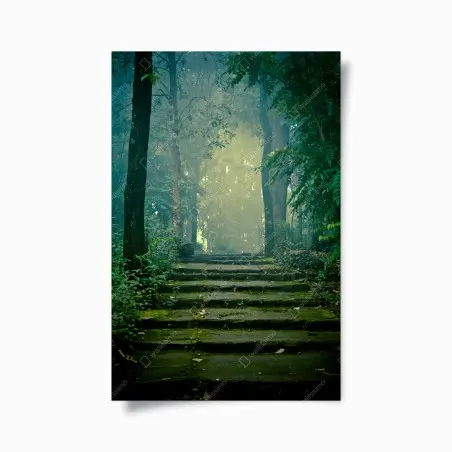 Poster moss-covered stone path into a misty forest • Wallissimo®