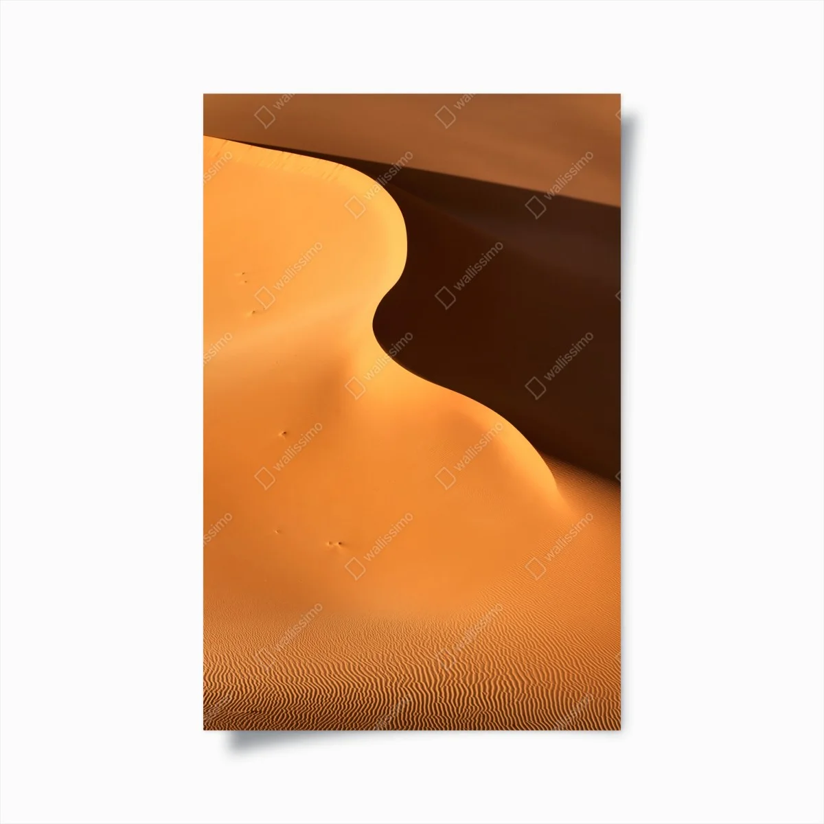 Poster golden dune curves • Wallissimo® Poster golden dune curves • Wallissimo®