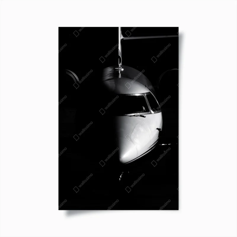 Poster monochrome jet nose portrait