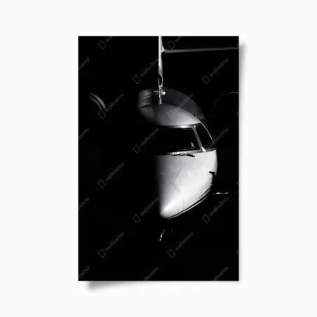 Poster monochrome jet nose portrait • Wallissimo®