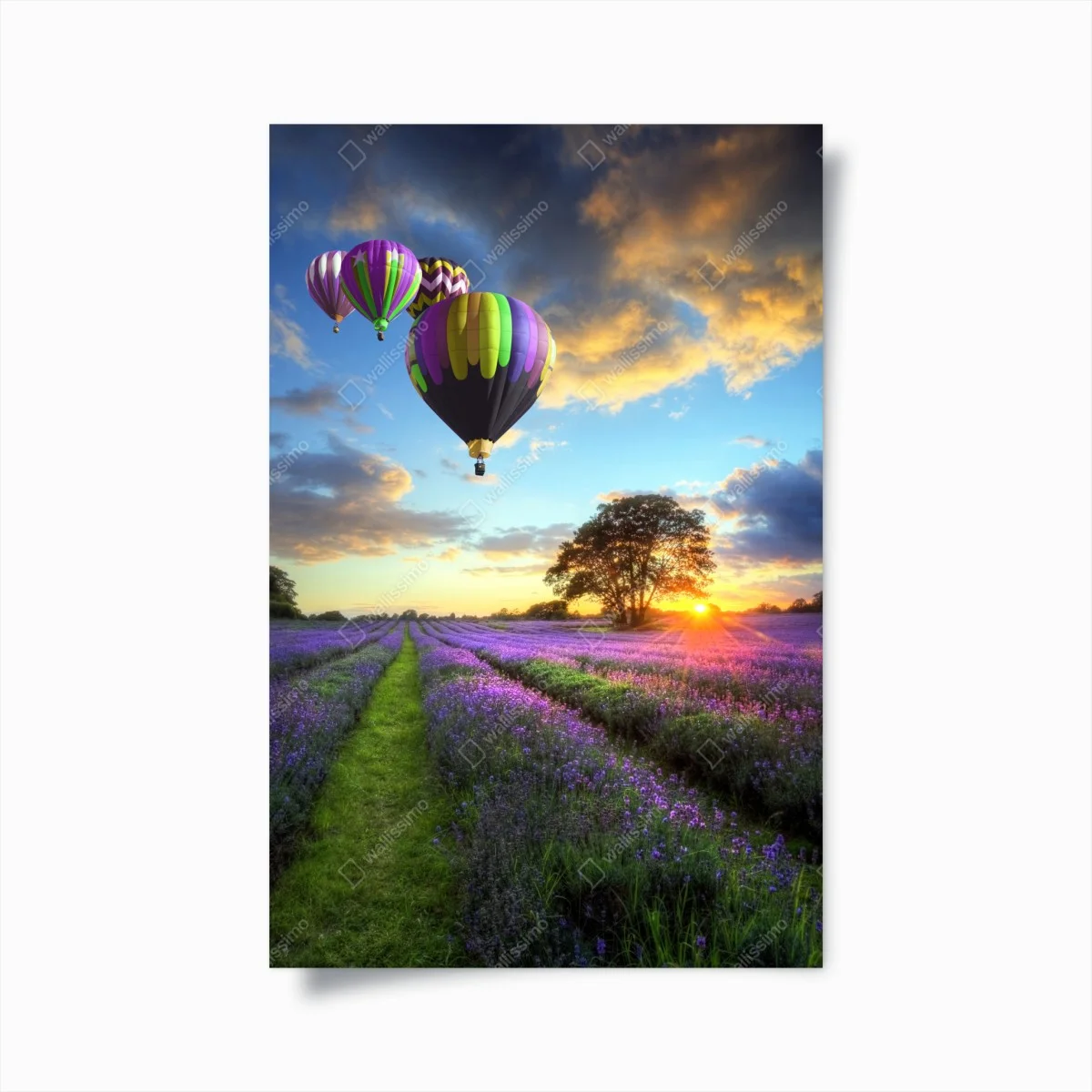 Poster lavender sunset with hot air balloons • Wallissimo® Poster lavender sunset with hot air balloons • Wallissimo®