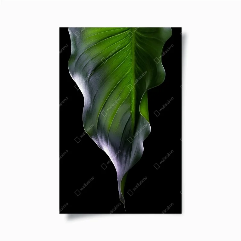 Poster elegant green leaf on black