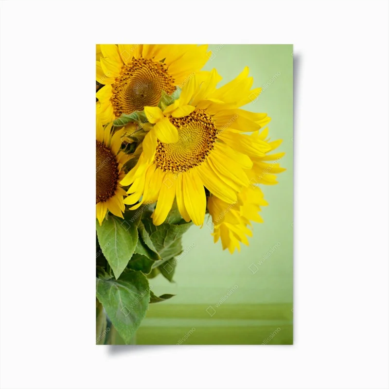 Poster bright sunflower bouquet on green background