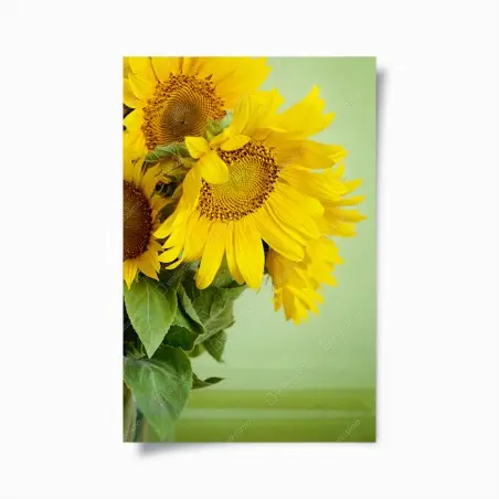 Poster bright sunflower bouquet on green background • Wallissimo®