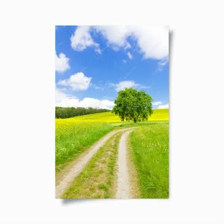 Poster sunlit country path and lone tree • Wallissimo®
