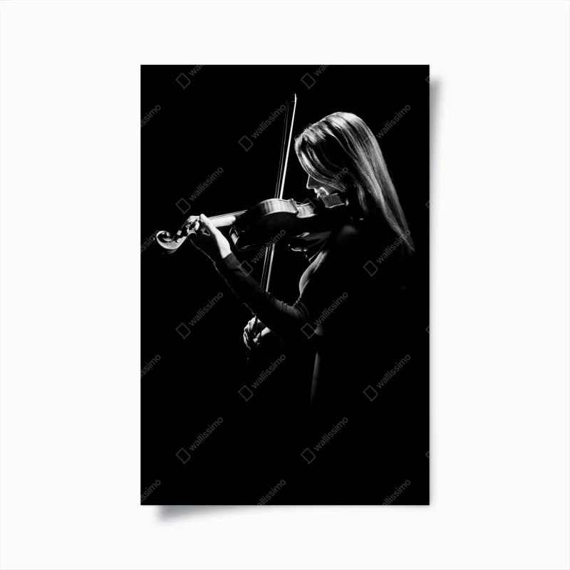 Poster elegant violinist silhouette