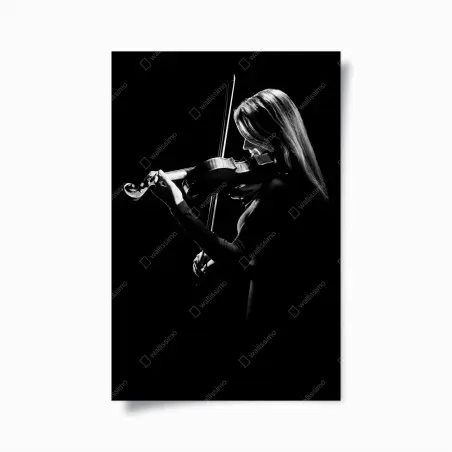 Poster elegant violinist silhouette • Wallissimo®
