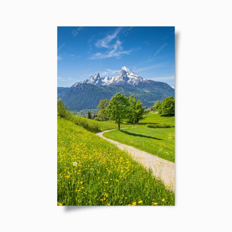 Poster alpine meadow and mountain trail