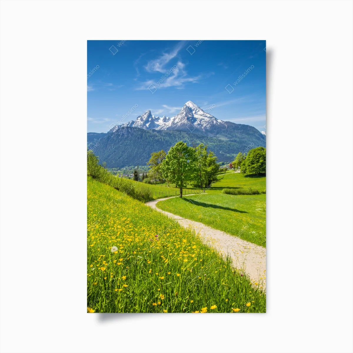 Poster alpine meadow and mountain trail • Wallissimo® Poster alpine meadow and mountain trail • Wallissimo®