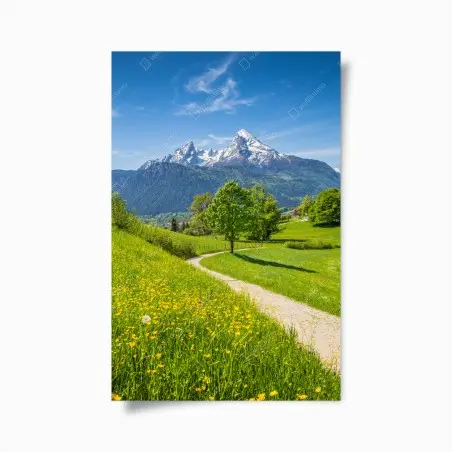 Poster alpine meadow and mountain trail • Wallissimo®